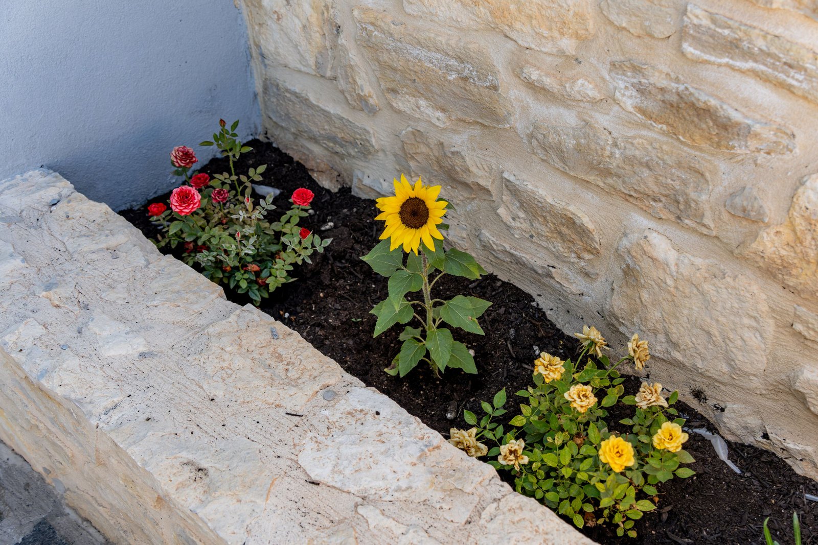 Outdoor space - Photo 11